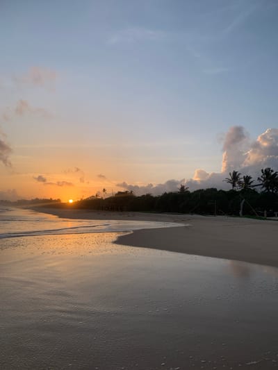 The image depicts a tranquil beach scene at sunset in Habaraduwa, Sri Lanka. The sun, a bright orange orb, is low on the horizon, casting a warm, golden glow across the sky and reflecting on the wet sand. Wispy clouds, tinged with orange and pink, are scattered across the pale blue sky. A dense line of lush green trees, including several palm trees, forms the backdrop along the beach. The gentle waves of the ocean have receded, leaving the sand glistening with water droplets. The overall mood is serene and peaceful, evoking a sense of calm and natural beauty. There is no visible text in the image.