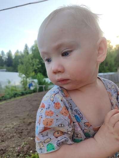 A fair-skinned toddler with blonde hair and blue eyes stands in a garden in what may be Sovetsko-Nikol'skoe, Russia. The child wears a grey shirt with cartoon animal prints. The toddler is looking down and to the left, with a slightly pensive expression. The garden features tilled soil, green vegetation, and a greenhouse in the background. The sky is visible in the upper left corner, with trees silhouetted against it. The overall lighting suggests it is either early morning or late afternoon.