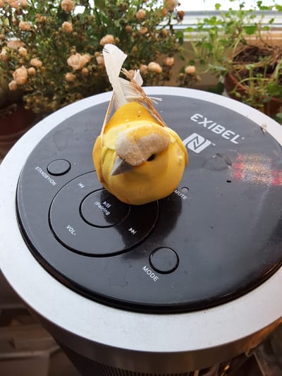The image shows a decorative yellow bird, possibly a toy or ornament, suspended by thin strings, hanging above a black, circular electronic device with silver trim. The device has several buttons and labels including "STANDBY/ON", "VOL-", "MUTE", "PAIRING", "MODE", and musical note symbols. The brand name "EXIBEL" is visible on the device. The background features out-of-focus greenery and flowers, suggesting an indoor setting near a window. There are no people present, and the scene appears to be a still life composition. There is no indication that this image is located in Arboga, Sweden.