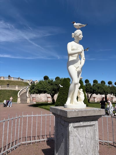 A white marble statue of Venus stands on a stone pedestal in the park of Peterhof, Russia. The statue is a classical depiction of the Roman goddess of love and beauty, with a serene expression and a graceful posture. A seagull is perched on top of the statue's head, and another seagull is in flight to the right of the statue. The background features a clear blue sky with wispy clouds, lush green trees, and a grand staircase with people walking on it. The scene is bathed in bright sunlight, casting shadows on the ground.
