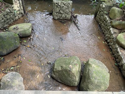 This media file depicts a shallow, flowing stream surrounded by stone structures and large rocks covered in moss. The water is murky brown and carries small leaves and twigs. The stream is contained by dry-stone walls on either side, constructed from irregularly shaped stones. In the center of the stream, a square stone pillar, also made of irregular stones, stands as a dividing structure. Several large, rounded rocks, some with green moss, are placed in and around the stream. The scene suggests an outdoor, naturalistic setting, possibly a park or a garden feature, in Panyu District, China. The lighting appears to be natural daylight, and the overall mood is tranquil. No people are visible, and no text is present in the image. The presence of moss on the rocks and the lushness of the foliage visible in the background suggest a humid climate.