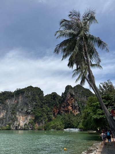 In Ban Ao Nang, Thailand, this image captures a scenic view of a bay with karst cliffs in the background. A large palm tree dominates the foreground on the right, its fronds reaching towards the cloudy sky. The water in the bay is a clear, tranquil green, with several yellow buoys floating on its surface and a white boat moored in the distance. A walkway lines the right side of the bay, where several people are walking, one with a blue backpack. The cliffs are covered in lush green vegetation, with exposed rock faces showing streaks of orange and gray.