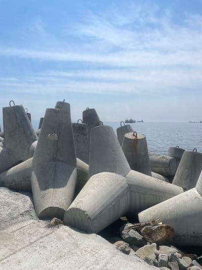The image depicts a close-up view of concrete tetrapods arranged on a shore, likely serving as a breakwater. The tetrapods are massive, interlocking concrete structures designed to dissipate wave energy. They are gray and appear weathered, with visible seams and some rough edges. A few of the tetrapods have metal loops protruding from their tops, used for lifting and placement. One tetrapod in the foreground has a sticker on its side with Cyrillic text and a phone number, suggesting a commercial or construction context.
Beyond the tetrapods, the sea stretches out to the horizon under a bright, partly cloudy blue sky. Several cargo ships and other vessels are visible on the water, indicating an active shipping lane or port area. The shoreline itself is a mixture of concrete surfaces and rough rocks. In the lower right corner, a piece of driftwood rests among the rocks, adding a natural element to the industrial scene. The overall impression is one of coastal engineering at a busy maritime location.
This scene is characteristic of the breakwaters found along the coastline of Vladivostok, Russia, a major Pacific port city. The presence of large ships and the type of coastal defense structures strongly suggest a location within or near the port facilities of Vladivostok.