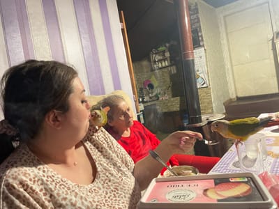 The image shows two women, one younger and one older, seated at a table in what appears to be the interior of a home. A younger woman is in the foreground with a bird perched on her shoulder. She holds a spoon out to another bird perched on a glass on the table. An ice cream container is visible on the table, along with other items that suggest a casual dining setting. In the background, the older woman is seated, seemingly watching the interaction with the birds. The location is indicated as Aidemir, Bulgaria. A stovepipe and traditional home interior elements are visible in the background.