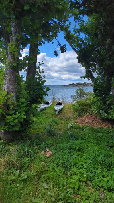 Two white kayaks rest on a grassy bank near the shore of a body of water, framed by the trunks and branches of trees. The water is calm and blue, with a cloudy sky overhead. In the distance, a peninsula with houses and trees can be seen. The scene appears to be a natural area in Larkollen, Norway, likely a coastal location given the presence of kayaks and the view of the water.