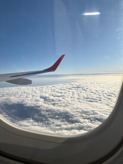The image shows a view from an airplane window, likely in flight. A portion of the plane's wing with a red tip is visible against a blue sky. The window frames the external view which includes a layer of clouds. The city of Schwechat, Austria, is not directly visible or inferable from the image content.