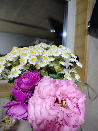 The image depicts a close-up view of a bouquet of flowers, with a prominent pink rose in the foreground. Behind the pink rose, a deep purple rose is visible, followed by a cluster of small white flowers with yellow centers, possibly daisies or similar wildflowers. The bouquet is arranged in what appears to be a vase, though the vase itself is not fully visible. The background is blurred, showing a window with a reflection of what might be an indoor scene, and a wall paneled with light-colored wood. The lighting suggests an indoor setting, possibly a domestic environment. The location of Вазерки, Russia, is noted in the prompt, but there is no visual information within the image to confirm or deny this specific location.