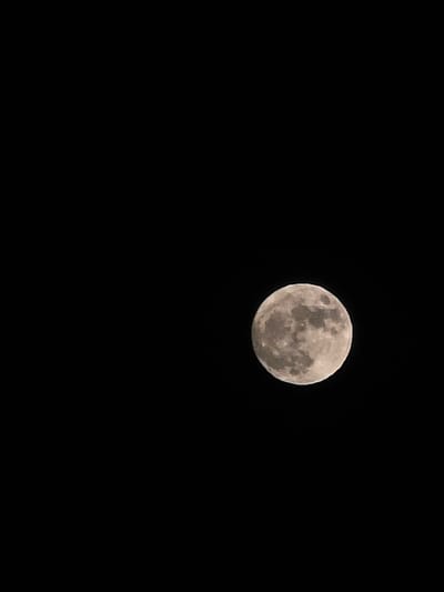 A full moon is centered in the top half of a stark black sky. The moon's surface has visible craters and textures. The location is indeterminable from the visual information.