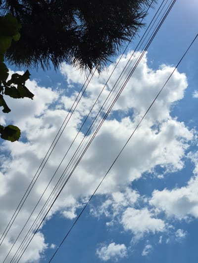 This is a low-angle, vertical shot of a bright blue sky with scattered white cumulus clouds. Several dark power lines run diagonally across the frame from the upper left to the lower right. In the upper left corner, a silhouette of dark green leaves and a dense, dark pine tree branch partially obstruct the view of the sky. The scene is captured from ground level, looking upwards, suggesting a clear day with good visibility. The location is the city of Kardam, Bulgaria. There are no people or animals visible in the image.