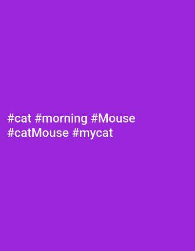 The image is a solid purple background with the hashtags "#cat #morning #Mouse #catMouse #mycat" in white text at the bottom left of the frame. There is no indication of location.