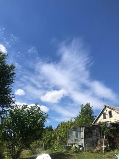 The image shows a view towards the sky with clouds and a section of a building and trees. The sky is a vibrant blue, filled with cirrus clouds. A portion of a cream-colored building with visible windows and a makeshift structure is visible on the right. Trees frame the bottom of the view. The location is Petrykiv, Ukraine.