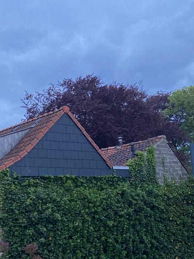 The image depicts the exterior of a building in Sint-Baafs-Vijve, Belgium. The structure exhibits a combination of brick and gray stone construction. One section of the wall is heavily covered in ivy, obscuring the underlying material. The roof features a dark gray tile section alongside terracotta tiles. A mature tree with reddish-purple foliage stands adjacent to the building. The sky is visible and overcast with a cloudy texture. A chimney or ventilation structure is present on one part of the roof. The image is oriented in a portrait format, with the building structures angled in the frame.