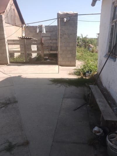 The image depicts a sunlit, outdoor scene in Fanchykovo, Ukraine, showing a courtyard area with various elements. A concrete pathway occupies the foreground, leading towards a wooden gate with wire mesh fencing. To the left, a section of a wooden building with a sloped roof is visible, adjacent to a wall constructed from concrete blocks. A horizontal clothesline is strung across this area, with two white plastic bags hanging from it.

Beyond the gate, a densely overgrown area with green vegetation is present. A light blue bucket is situated amongst the tall grass. To the right of the scene, a white building with a window is partially visible, with a long, dark pole leaning against its wall. A wooden bench is positioned in front of this building, with several buckets and trash items scattered on the ground below it, including a partially obscured white bucket with text. The overall impression is of a somewhat unkempt but functional outdoor space. The sky is clear and blue.
