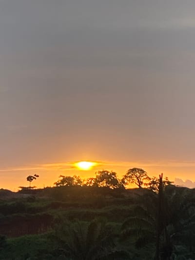 The image depicts a sunset in Asaga Amangwu, Nigeria. The sun is positioned on the horizon, partially obscured by silhouetted trees and vegetation on the right side of the frame. The sky transitions from a light orange near the horizon to a grayish hue towards the upper left. There are some utility poles with lines visible. The landscape appears to be a mix of trees and green vegetation.