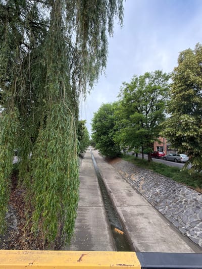 This outdoor image captures a long, narrow concrete channel filled with flowing water, situated in an urban or suburban environment. The perspective is slightly elevated, looking down the length of the channel.
On the left side of the frame, large, leafy green trees dominate, their dense canopies and slender branches filling much of the foreground and extending upwards and into the midground. The leaves are a vibrant green, suggesting a healthy growth. Above the trees and in the upper central part of the image, an overcast sky is visible, a uniform light gray with no discernible sun.
To the right of the concrete channel, a robust retaining wall constructed from irregular gray stones, topped with green grass, runs parallel. Beyond this stone wall, a paved area, likely a road or street, is visible. Parked along this road are two cars: a white sedan followed by a red car. Behind the vehicles, a fragment of a building with a reddish-orange wall can be seen.
In the far right foreground, a yellow and black striped metal post or barrier marks the edge of the scene. Below this post and next to the concrete channel, some smaller green foliage is present, possibly ground cover or lower tree branches.
The overall lighting is soft and diffused due to the cloudy sky, creating a calm atmosphere. There are no people visible, and no discernible text appears in the image. The setting combines natural elements with man-made infrastructure, consistent with a location like Târgu Mureș, Romania.