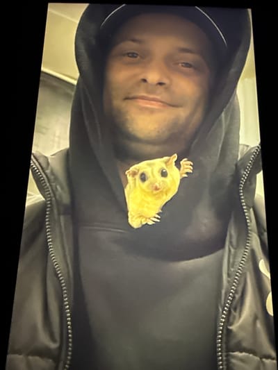 An individual, with light brown skin and dark hair, is captured in a medium shot, wearing a black hooded sweatshirt and a black puffer jacket. The sweatshirt has a prominent graphic of a yellow sugar glider with black eyes and pinkish-red accents on its face. The individual is looking directly at the camera with a slight smile and is wearing a black baseball cap underneath the hood. The background is out of focus but appears to be an indoor setting with a textured wall. The lighting is warm and even, illuminating the subject and the detail on the sweatshirt.