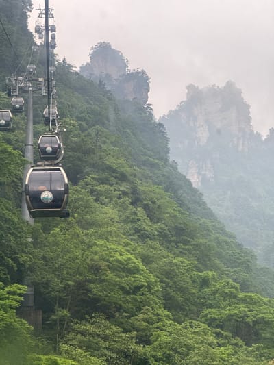 The image shows a row of cable cars ascending through a dense, green forest. In the background, towering rock formations are partially obscured by mist or clouds. The cable cars are black with a white trim and appear to have a logo on them. The location is the city of Wulingyuan, China.