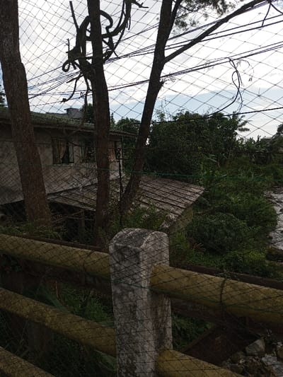 The image presents an outdoor scene in Ariyalai, Sri Lanka, observed through a fine mesh netting. In the immediate foreground, a weathered concrete fence post is visible on the right, supporting horizontal wooden rails that are wrapped in a similar green-hued netting. This netting extends across the entire frame, acting as a partial visual filter.
Behind the netting and fence, several dark-barked tree trunks rise vertically, their branches, some gnarled and leafless, extending upwards and intertwining with the netting. In the midground, a two-story building with a light-colored, possibly stucco or concrete, exterior is partially visible through the trees and netting. The upper floor displays windows with dark frames and interior curtains. Below and to the right of this main structure, a smaller building with a corrugated metal roof is discernible, surrounded by dense green foliage.
The terrain slopes downwards from left to right, heavily vegetated with various green plants, bushes, and smaller trees. On the far right, a narrow body of water, consistent with a river or stream, is visible, flowing past the dense greenery. The background features additional dense tree cover, including some taller trees that resemble palms. The sky is overcast with a mix of white and light blue clouds. No individuals or active interactions are visible within the scene.