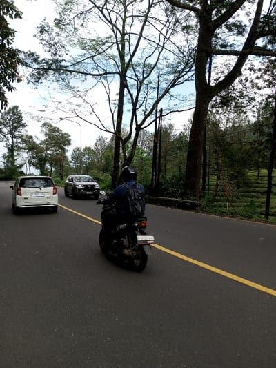 The image depicts a daytime outdoor scene on a paved, two-lane asphalt road with a solid yellow dividing line. A male individual, wearing a dark helmet, a dark long-sleeved shirt, and a dark backpack, rides a black motorcycle with the rear license plate 'B 6109 WAL' in the foreground, moving away from the camera in the right lane. Ahead of the motorcycle, also traveling in the same direction, are two cars: a white hatchback with the rear license plate 'F 1052 YA' and, further ahead, a dark grey SUV with a partially visible front license plate beginning with 'B'.
The road is bordered by dense trees and foliage on both sides. On the right side of the road, behind a low stone or concrete barrier, is a cultivated field arranged in distinct rows, consistent with a plantation, possibly tea. Tall trees with sparse foliage and prominent branches frame the upper portion of the image against an overcast sky. Utility poles and overhead lines are visible on the left side of the road, slightly set back among the trees. The background shows distant hills obscured by vegetation.
The scene is described as being in the city of Boommlog, Bhutan. However, the visible vehicle registration plates on the motorcycle and the white car ('B 6109 WAL' and 'F 1052 YA') are indicative of Indonesian vehicle registration formats, specifically from the Jakarta and West Java regions, which contradicts the provided Bhutanese location.