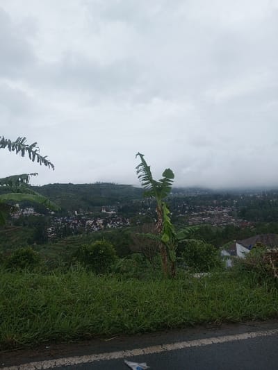 The image displays an elevated view of a landscape in the Babaliya Mal., India region, under a uniformly overcast sky with distant hills partially obscured by mist or low clouds. In the immediate foreground, a section of dark asphalt road is visible, featuring a faded white line and a small piece of white debris. Adjacent to the road, a dense expanse of green grass slopes downward. A prominent banana plant with large, partially torn green leaves stands centrally on the right side of the frame, with additional broad-leafed foliage visible on the far left. The midground reveals a valley and surrounding hills densely covered in green vegetation, including trees and what appear to be cultivated terraces. Numerous residential structures with diverse roof colors are distributed throughout the valley and on the lower hill slopes, forming scattered settlements. The background displays further undulating terrain, heavily vegetated, with more extensive urban development partially veiled by atmospheric haze. No individuals are visible.