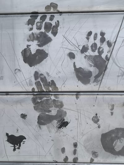 The image captures a close-up view of a light-colored, possibly painted or metallic, paneled surface heavily marked with dark handprints, footprints, and numerous scratches. A distinct horizontal seam divides the surface into upper and lower sections.
In the upper half, two prominent dark handprints are visible. The one on the left is a relatively clear impression of a left hand, fingers spread. To its right, another handprint is present, appearing somewhat smeared but still showing the outline of fingers and a partial palm. Several smaller, irregular dark smudges are scattered above these main prints.
The lower half of the image features a larger, smeared dark footprint, its exact orientation and which foot it belongs to are obscured by the smudging. Alongside this, various other smaller, amorphous dark smudges and drips are distributed across the surface. In the bottom-left corner, a more substantial, irregular dark blotch is visible.
The background surface itself is a dull, light gray or off-white. It is extensively marked with numerous thin, dark linear scratches running in multiple directions, indicating significant wear, abrasion, or deliberate marking. The dark prints and smudges appear to be made from a wet, dark substance, such as mud, grease, or paint.
The overall scene suggests a playful or messy interaction with the surface, likely by a person, leaving a temporary record of their hands and feet. No visible text is present. The location context for this scene is Alkmaar, Netherlands.