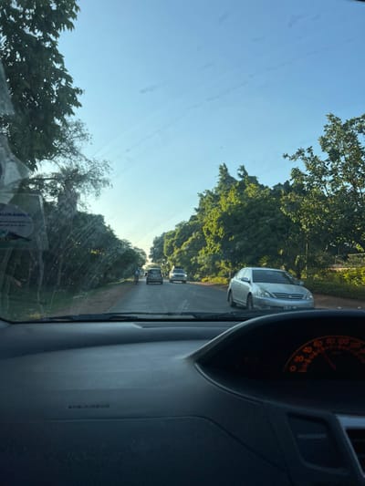 The image, taken from inside a vehicle looking through the windshield, captures a road scene in what appears to be a suburban or semi-urban area. The perspective is rotated 90 degrees clockwise.

**Subjects:** The main subjects are a road, various vehicles, and abundant green foliage. A silver sedan is prominently visible in the foreground, followed by several other cars further down the road, suggesting a line of traffic. The road is lined on both sides with dense, lush green trees and other vegetation. The sky above is clear and bright blue. Inside the car, the top right portion of the dashboard is visible, including part of a speedometer or tachometer gauge.

**Activity or event taking place:** The scene depicts vehicles on a road, likely in transit or experiencing a slow-moving traffic situation.

**Notable details:**
- **Time of day:** It is daytime, with bright sunlight illuminating the scene, particularly highlighting the trees and the road. This suggests either morning or late afternoon.
- **Weather:** The sky is clear and cloudless, indicating sunny weather.
- **Location cues:** The style of the road, the lush green trees, and the types of vehicles are consistent with scenes found in Lusaka, Zambia.
- **Visible text:** On the dashboard gauge, numbers such as "80", "100", "120", and "140" are partially visible. A sticker on the lower left of the windshield or dashboard shows partial text including "SURANCE" and possibly ".co.zm", likely indicating an insurance sticker relevant to Zambia. The word "AIRBAG" is also faintly visible on the passenger side of the dashboard.