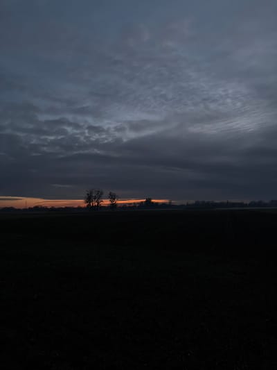 A landscape image is divided vertically with the sky on the left and land on the right. The sky is filled with dark, textured clouds. A sunset is visible along the horizon, casting an orange glow near the trees and on parts of the landscape, which is otherwise shrouded in darkness. The terrain appears to be a field or vegetation. Two or three trees with bare branches stand silhouetted against the sunset.