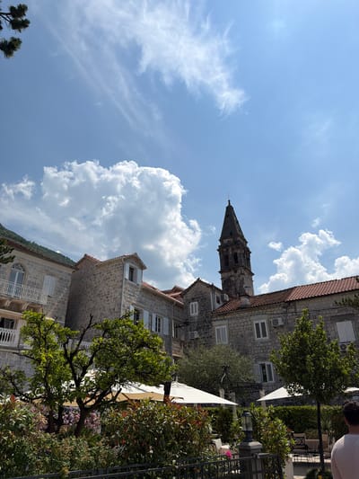 This image depicts a sunny day in Perast, Montenegro, showcasing traditional stone buildings and lush greenery. In the foreground, a fence encloses a garden with various plants and flowers, including blooming hydrangeas. Several white umbrellas are set up, suggesting an outdoor dining area. A tree with dense green foliage is prominent, and behind it, more trees and shrubs create a vibrant backdrop.
The architecture of Perast is evident in the stone buildings with red-tiled roofs and white-shuttered windows. A tall, slender bell tower with a pointed spire dominates the skyline, characteristic of the town's historic churches. The sky is a brilliant blue, dotted with large, fluffy white clouds. A person's shoulder and upper back are visible on the right edge of the frame, indicating their presence in the scene. The overall impression is one of a picturesque and serene Mediterranean town.
