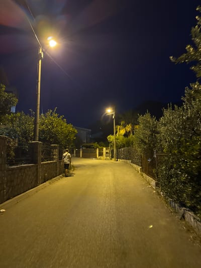 A single individual walks down a dimly lit, paved road in Burtaiši, Montenegro, at night. The street is illuminated by a streetlamp to the left of the frame, casting a yellow glow that reflects off the wet pavement. The individual, seen from behind, is wearing a light-colored t-shirt and dark shorts and carries a bag slung over their shoulder. The road is bordered on the left by a stone wall topped with a metal fence, behind which are trees and a building. On the right, dense green foliage and trees line the street, also with a fence in front. In the distance, the road curves slightly, leading towards more vegetation and what appears to be a mountainous backdrop obscured by darkness. The sky is a deep, clear night blue.