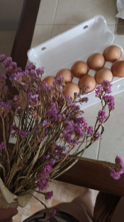 A close-up shot shows a bouquet of dried purple flowers in the foreground, their delicate blooms and wispy stems filling the left side of the frame. Behind the flowers, a white egg carton holds several brown eggs, some of which are in focus while others are blurred. The carton is placed on a tiled surface, with a wooden table edge visible in the lower right corner. The overall lighting suggests an indoor setting, possibly during the daytime. There are no people or discernible activities taking place, and no visible text. The scene appears to be set in a domestic environment, with the combination of flowers and eggs suggesting a still life composition.