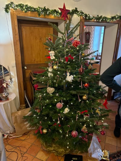 An indoor scene in Étréchy, France, captures a festive Christmas setting centered around a heavily decorated evergreen tree. The large Christmas tree, positioned towards the right side of the frame, is adorned with numerous warm white string lights, creating a glowing effect. Various ornaments hang from its branches, including red and gold baubles, white and red candy canes, small red bows, white animal figures (possibly sheep or angels), a heart-shaped woven ornament, and pine cones.

To the left, a green lit garland with warm white lights is draped around a rustic wooden archway or door frame. A large, sparkly red star is prominently displayed on the garland at the upper left. Through the archway, another room is partially visible, showing a window and some furniture.

On the right side of the image, the floor is covered with terracotta-colored tiles. A gold-colored plastic sheet or bag sits at the base of the Christmas tree, likely serving as a tree skirt or collecting fallen needles. Below the tree, a brown paper bag is also visible, and several black electrical wires are strewn across the tiled floor, connecting to the tree's lights or other devices.

In the upper right corner, the lower torso and legs of a person wearing dark trousers and shoes are visible, suggesting they are either decorating the tree or admiring it. In the lower foreground, a white sheet or tablecloth covers a surface, featuring a silver-colored candlestick or similar ornate object and a small, decorated item. The overall ambiance is warm and cozy, indicating holiday preparations or celebration. No discernible text is visible in the image.
