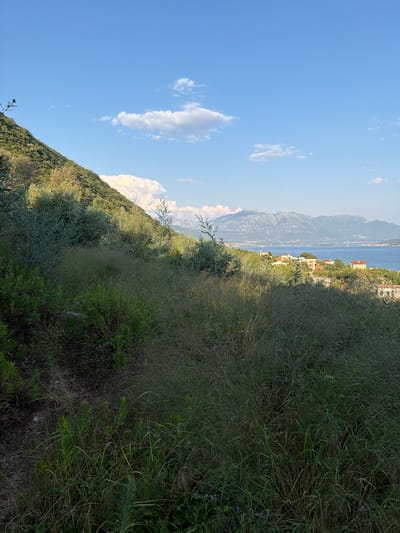 This image captures a serene coastal landscape in Đenovići, Montenegro. The scene is dominated by a lush, green hillside in the foreground, teeming with various types of vegetation including tall grasses and dense foliage. The hillside slopes downwards towards a body of water, likely the sea or a bay, which is visible in the middle ground. Across the water, a range of majestic mountains forms a dramatic backdrop, their peaks shrouded in a hazy, atmospheric perspective.
Nestled along the base of the mountains, on the shores of the water, are several buildings with terracotta roofs, suggesting a small coastal village or town. The architecture is characteristic of Mediterranean settlements. The sky above is a clear, bright blue, punctuated by a few scattered white clouds, indicating fair weather. The sunlight casts shadows and highlights on the landscape, suggesting it is daytime, likely mid-morning or afternoon.
The overall impression is one of natural beauty and tranquility. The combination of the verdant hillside, the vast expanse of water, and the imposing mountains creates a picturesque and inviting view. There are no people or specific objects of interest clearly visible, emphasizing the natural scenery. The image appears to be a landscape photograph taken from an elevated vantage point, offering a panoramic perspective of the coastal area.