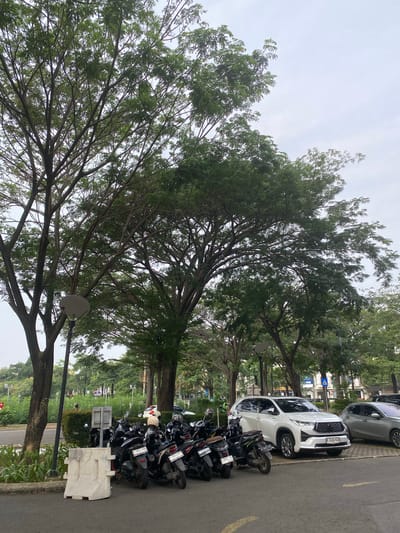 The image shows a parking lot scene in East Jakarta, Indonesia. In the foreground, a row of parked motorcycles is visible, with a white concrete barrier in front of them. Behind the motorcycles, a white SUV is parked, with its license plate clearly visible. To the right of the SUV, a silver car is partially visible. Tall trees with dense green foliage line the parking lot, casting shadows on the ground. In the background, there are more trees, buildings, and a street with traffic. The sky is overcast. The overall impression is a typical urban parking area on a cloudy day.
