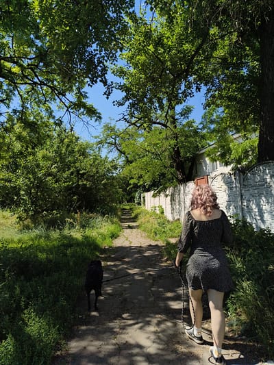 A person with pink curly hair, wearing a dark floral dress and white socks with sneakers, walks along a dirt path with a black dog on a leash. The path is bordered by lush green vegetation on the left and a white stone fence on the right, which runs alongside a white building. Tall trees with green leaves arch over the path, creating dappled shade. The sky is clear and blue. The scene appears to be a residential area, likely a street or a pathway in the city of Donetsk, Ukraine, given the architecture and vegetation.