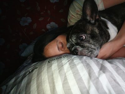 A person and a French bulldog are resting together on a bed. The person's head is turned to the side, resting on a striped pillow. The dog is positioned next to the person, with its head close to the person's face. The background appears to be a patterned fabric. There is no indication of the city of Goryachiy Klyuch, Russia in this image.