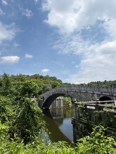The image depicts an ancient stone bridge with an arched design, partly obscured by dense green vegetation. The bridge is situated over a body of water, reflecting the structure. The sky is visible, featuring a mix of blue and white clouds. It appears to be located in a natural, possibly historical, site in Jiulongpo District, China. A traffic light is also barely visible at the bottom left of the bridge behind the greenery.
