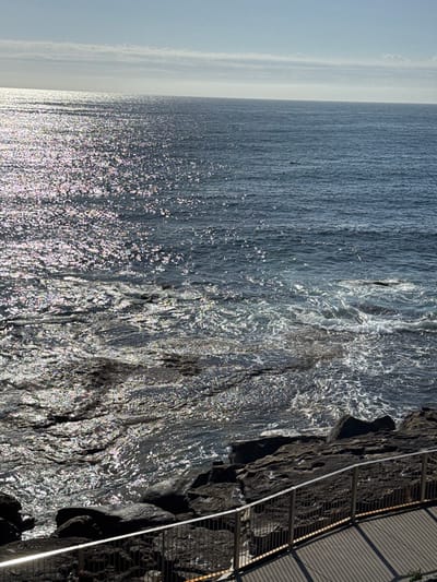The image displays an ocean view, sparkling under sunlight, extending to a distant horizon. To the right, dark, rocky terrain meets the water, interspersed with a metal railing and boardwalk structure. The photograph is vertically oriented, giving emphasis to the expanse of water. The sky above the ocean is pale, adding to the overall brightness of the scene.