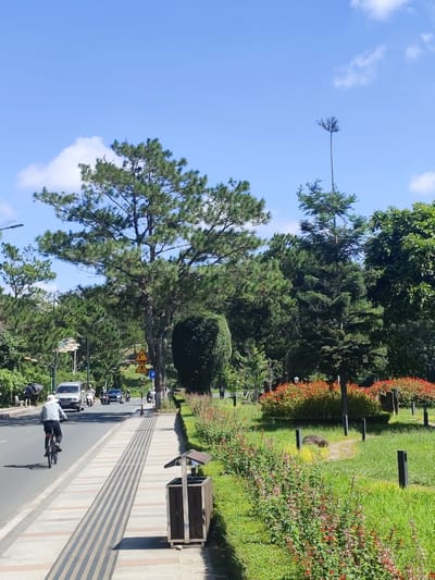 The image depicts a street scene in Xuân Hương Lake area, Đà Lạt, Vietnam, on a bright, sunny day with a clear blue sky dotted with a few white clouds. A man is cycling on the left side of the paved road, wearing a light-colored long-sleeved shirt and dark pants, with a white hat. Ahead of him, traffic, including a silver van, motorcycles, and a car, moves in the same direction. The road is bordered by a wide sidewalk featuring a textured tactile paving system. Adjacent to the sidewalk is a grassy area with manicured bushes and vibrant red flowers. Further into the park, more trees, including pine trees, are visible, along with a stone and a dirt path. A brown trash receptacle with a metal frame is positioned on the sidewalk. The overall impression is one of a well-maintained urban park and street, characteristic of Đà Lạt.