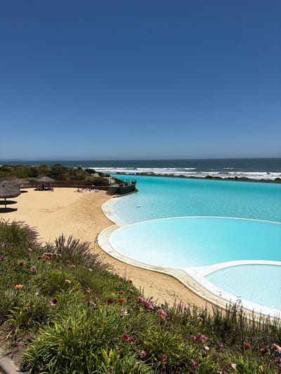 Azure water fills curvilinear pools bordered by sand. Vegetation, dense with green foliage and scattered red and yellow flowers, lines the sandy edge. Beyond the pools, the ocean meets the horizon under a clear blue sky. A structure sits between the pools and the ocean. The scene appears to be a coastal resort with meticulously designed recreational areas.