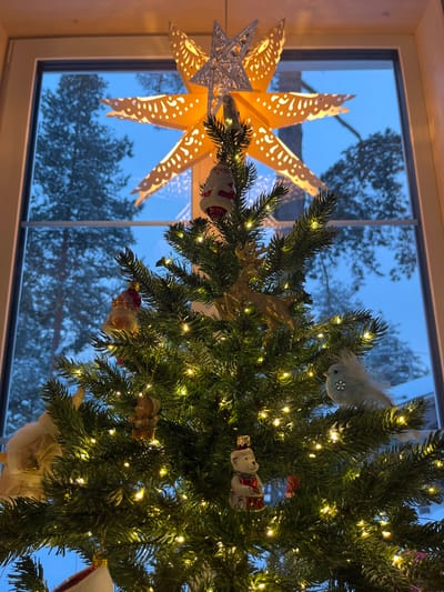 This image captures a decorated Christmas tree positioned indoors in front of a window, located in the city of Finskiy Briz, Russia. The artificial evergreen tree is extensively illuminated with small, warm-white LED lights. A small, silver-colored star ornament tops the tree, beneath a larger, illuminated, seven-pointed paper star light fixture with intricate cutouts, which is mounted at the top of the window frame. The tree is adorned with various ornaments, including a white-capped Santa Claus figure, a golden glitter reindeer, a light blue feathered bird with a rhinestone eye, a small teddy bear, and a white polar bear playing a drum. The clear window reveals an outdoor winter scene featuring snow-covered coniferous trees under a uniformly blue sky, indicative of twilight or a heavily overcast day. The window frame is white. No individuals are present in the scene.