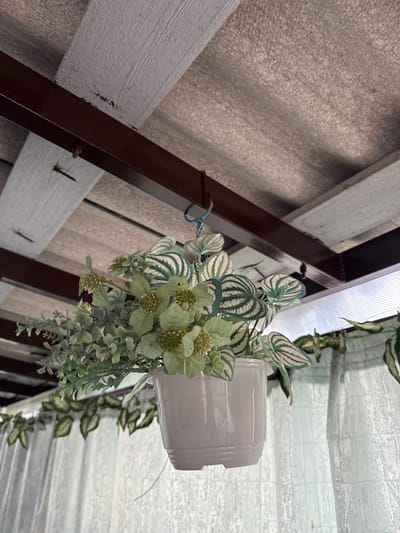 The image shows a white hanging planter filled with artificial greenery and flowers, suspended from a dark brown metal beam. The planter is hanging beneath a gray, corrugated ceiling structure with visible wooden beams. To the right of the planter, a sheer, light blue or white curtain is visible, patterned with a subtle grid. The overall scene suggests an outdoor or semi-outdoor space, possibly a patio or porch, under a roof. The lighting indicates it is daytime, with diffused light creating soft shadows. No people are present in the image. The location is not discernible from the image itself, and therefore cannot be linked to Novoshakhtinsk, Russia.