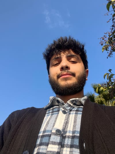 A man with dark hair and a beard is looking down at the camera. He is wearing a blue and white plaid shirt with a dark cardigan over it. The background is a clear blue sky with a few trees visible at the top of the frame. The photo is taken from a low angle, making the man appear to be looming over the viewer. The sunlight illuminates the man's face, highlighting his features.