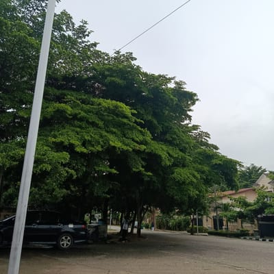 The image captures a street scene in Gwarinpa, Nigeria, under an overcast sky. A tall, white pole stands prominently on the left side of the frame. Dense green foliage from large trees dominates the upper half and extends across much of the scene, creating a shaded area. A dark-colored sedan is parked on the right side of the road, partially obscured by the pole and trees. Several individuals are visible in the distance, walking or standing near the trees and road. Some buildings with visible architecture, characteristic of the area, are situated behind the trees on the right side of the street. The road surface appears to be asphalt with some visible cracks and debris. A thin wire stretches across the sky from the top left to the top right.