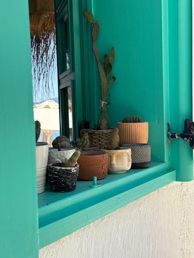 The image shows a close-up view of a shelf with several potted plants, primarily cacti and succulents. The shelf is painted a bright turquoise color and appears to be part of an outdoor overhang or structure, as suggested by the textured white wall in the background and the bright lighting. The plants are arranged in a variety of pots, including a ribbed terracotta pot, a textured grey pot, and a woven basket-like pot. Some of the plants are quite large and have long, trailing stems, while others are smaller and more compact. In the upper left corner, a small black camera or surveillance device is mounted on the turquoise structure. Below the shelf, a glimpse of what appears to be a brown woven material, possibly a mat or fabric, is visible, along with reflected light. The overall impression is of a well-lit, possibly sunny day in a location with a Mediterranean aesthetic, given the mention of Bodrum, Turkey. The scene is static, focusing on the arrangement of the plants and the architectural details of the shelf. There is no visible text in the image.