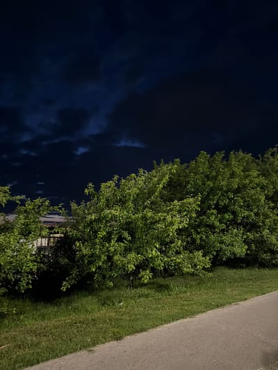 The image depicts a nighttime scene featuring lush green trees and a dark, cloudy sky above. In the foreground, a paved pathway runs diagonally from the bottom right corner towards the center of the image, bordered by a strip of grass. The trees are dense and full, obscuring much of what might be behind them, though a hint of a fence or structure is visible through the foliage on the left side. The overall atmosphere is subdued due to the low light conditions of the night. The image does not contain any people or visible actions. The location is specified as Naberezhnye Chelny, Russia.