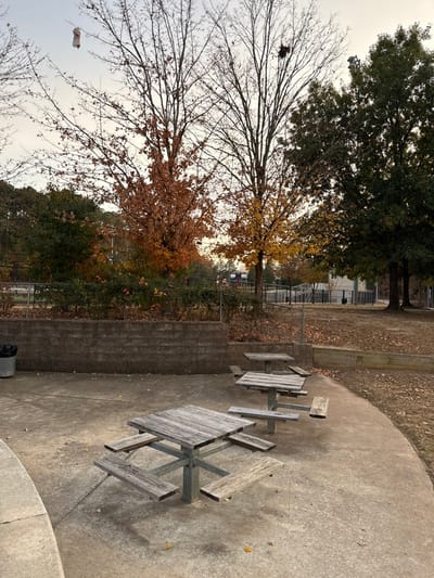 Two weathered picnic tables sit on a concrete patio next to a low brick wall. Beyond the wall, trees display autumnal colors. One tree is nearly bare, while others show hues of yellow and brown. A large green tree looms in the background. A black trash can stands near the wall. The sky appears overcast.