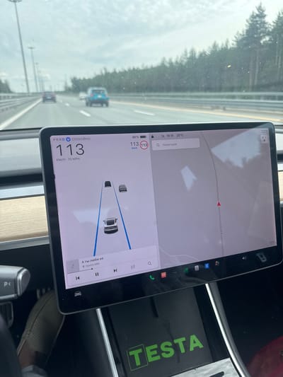 The image shows the interior of a Tesla vehicle on a highway. The car is traveling at 113 km/h (70 mph). The display shows navigation, current speed, and vehicle status. The road is a multi-lane highway surrounded by trees. In the distance, other vehicles can be seen. The sky is overcast. The photograph appears to be taken by the driver. The vehicle is likely in or near Levashovo, Russia, given the text on the screen.