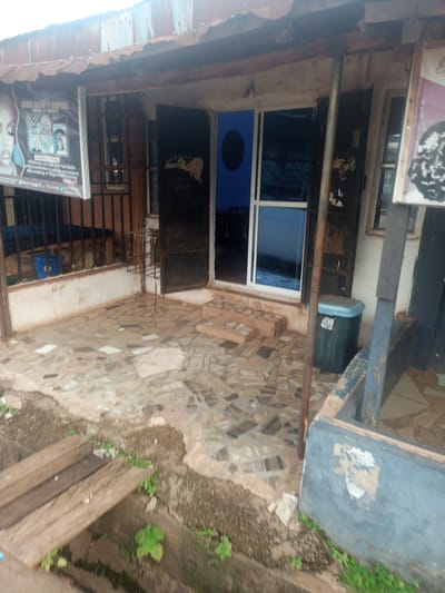 The image depicts a storefront in Enugu, Nigeria, that appears to be a beauty salon or salon. The facade of the building is constructed from corrugated metal roofing and has an aged, somewhat dilapidated appearance. A sign advertising "ALEXY BEAUTY EMPIRE" is prominently displayed on the left side of the entrance. This sign features images of women's faces and text detailing services such as "Makeup & Acrylic And Gel Nails," "Facial Treatment," and "Hair Extension."
The entrance consists of two large doors, one of which is open, revealing a blue-tinted glass interior. The ground in front of the shop is paved with irregularly shaped stones. To the right of the entrance, a dark green trash bin with a light blue lid stands near the wall. The overall environment suggests an outdoor commercial space in an urban setting, with evidence of wear and tear on the structure and surrounding area. Green vegetation is visible growing around the base of the building and in cracks in the pavement. A wooden plank walkway is present in the foreground, indicating a possible drainage or elevated path.