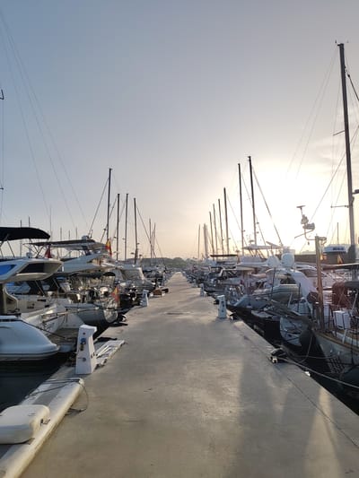 The image depicts a marina in Dénia, Spain, at sunset or sunrise. A concrete pier runs down the center of the frame, flanked by rows of moored yachts and sailboats. Masts rise high above the vessels, creating a forest of vertical lines against the bright sky. Spanish flags are visible on some of the boats. The pier is bare, showing no immediate signs of human presence.