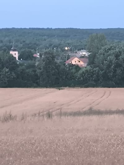 The image depicts a rural landscape near Vyšné Nemecké, Slovakia, under a twilight sky. In the foreground, a field of harvested wheat, characterized by rows of stubble and tire tracks, stretches across the frame. Behind the field, a dense line of trees forms a dark green backdrop, partially obscuring a small village. Within the village, a light-colored building with a dark-tiled roof, possibly a church, stands prominently, accompanied by other residential structures and streetlights. The overall scene conveys a sense of quiet and dusk in a rural setting.